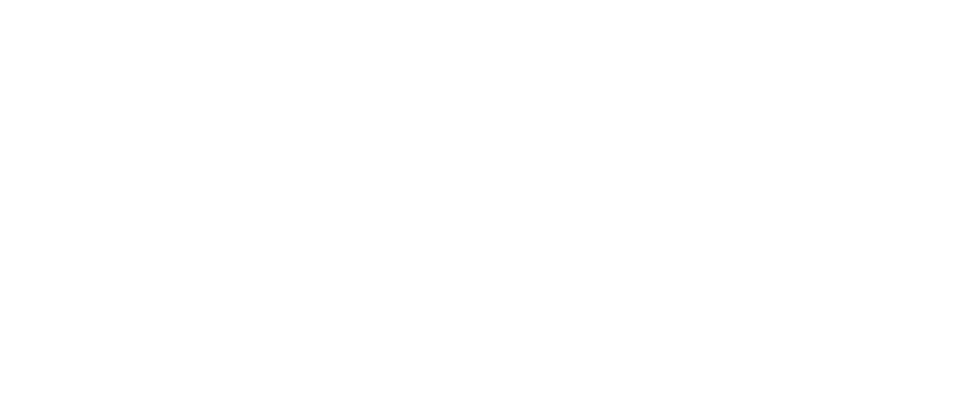 ion Philanthropy logo